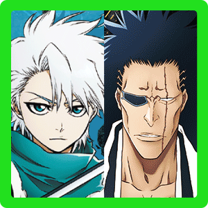 剣八＆日番谷